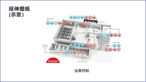 优化食品卫生管理 从规划到执行的系统性设计